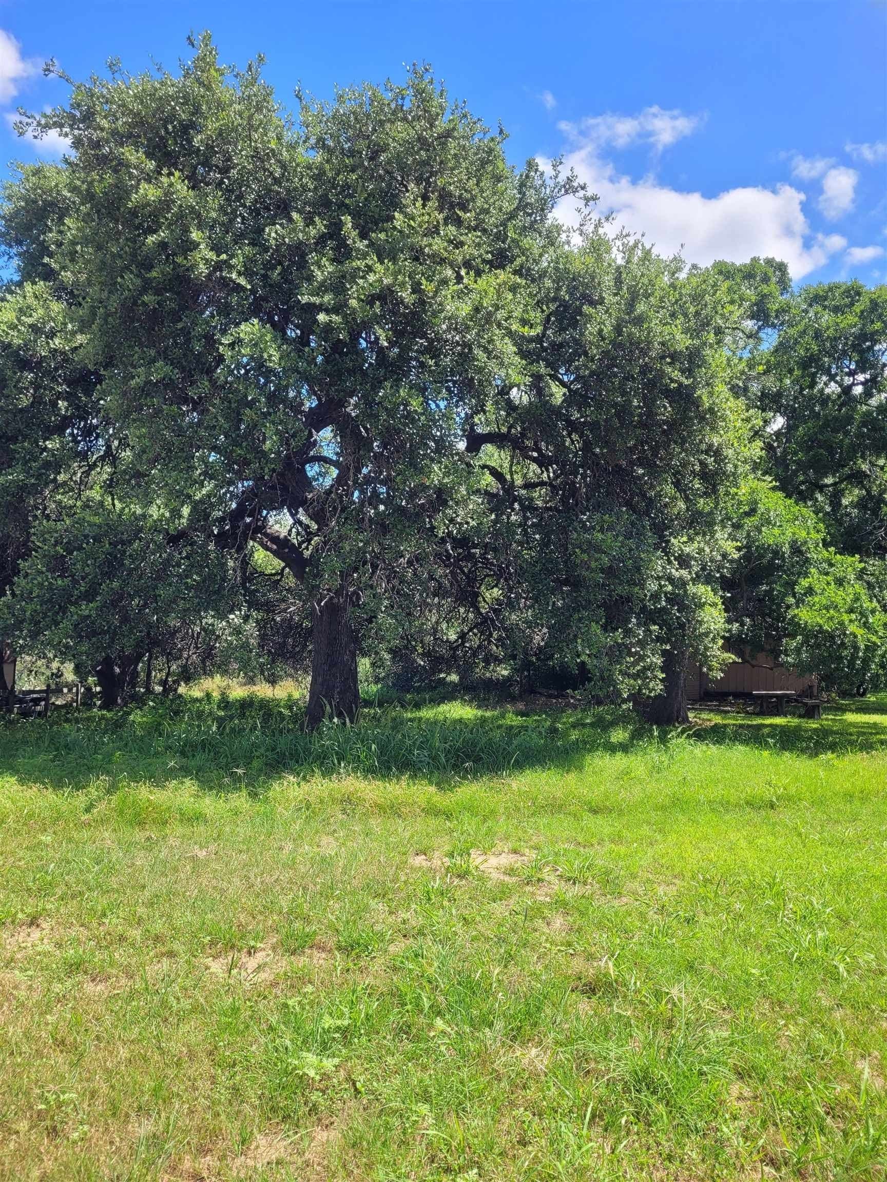 0.2 acres in Llano County - photo 6