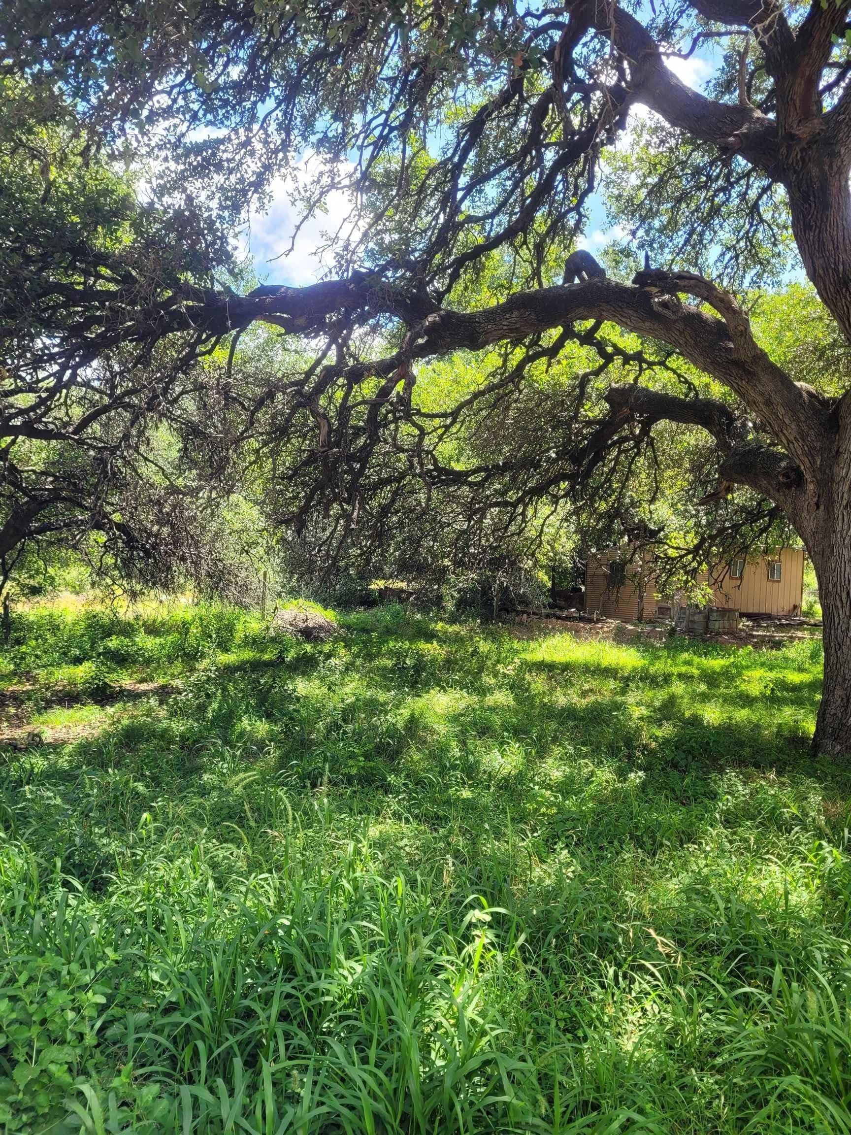 0.2 acres in Llano County - photo 7