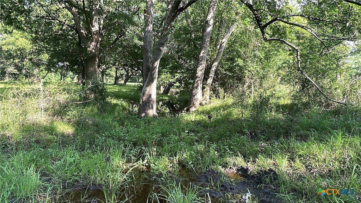 80.32 acres in Jackson County - photo 36