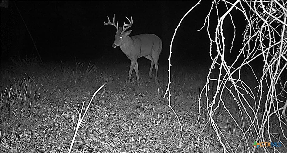 80.32 acres in Jackson County - photo 23