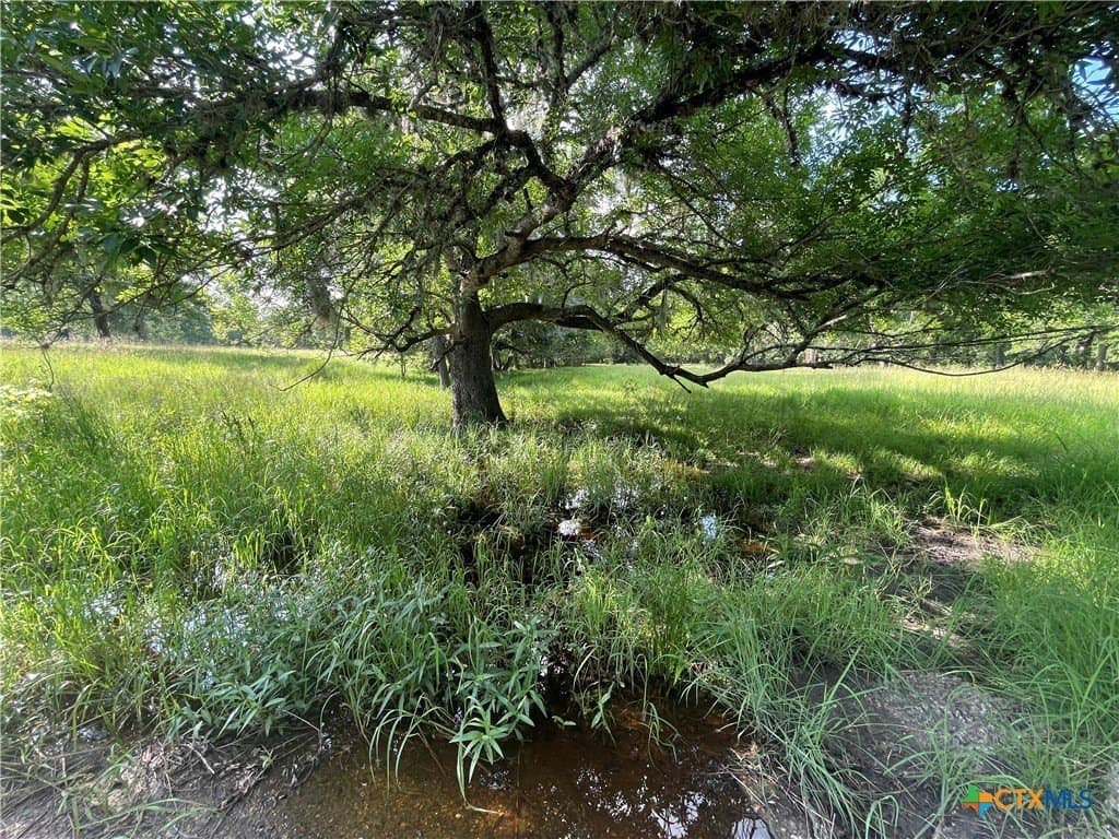 80.32 acres in Jackson County - photo 34
