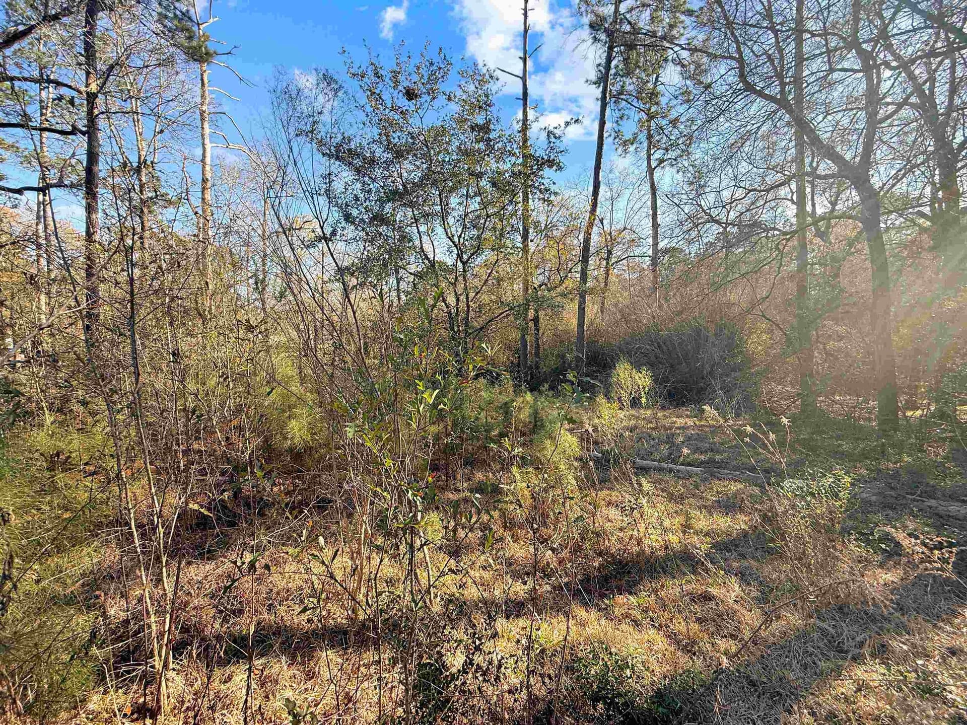 0.5 acres in Hardin County gallery image 4