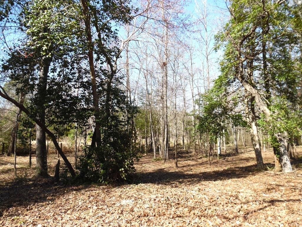 0.17 acres in Van Zandt County