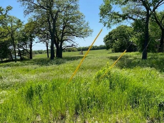 0.53 acres in Montague County gallery image 3