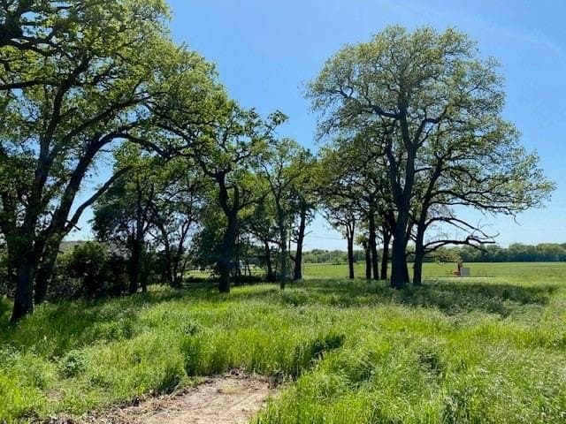 0.53 acres in Montague County featured view