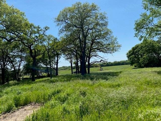 0.53 acres in Montague County gallery image 4