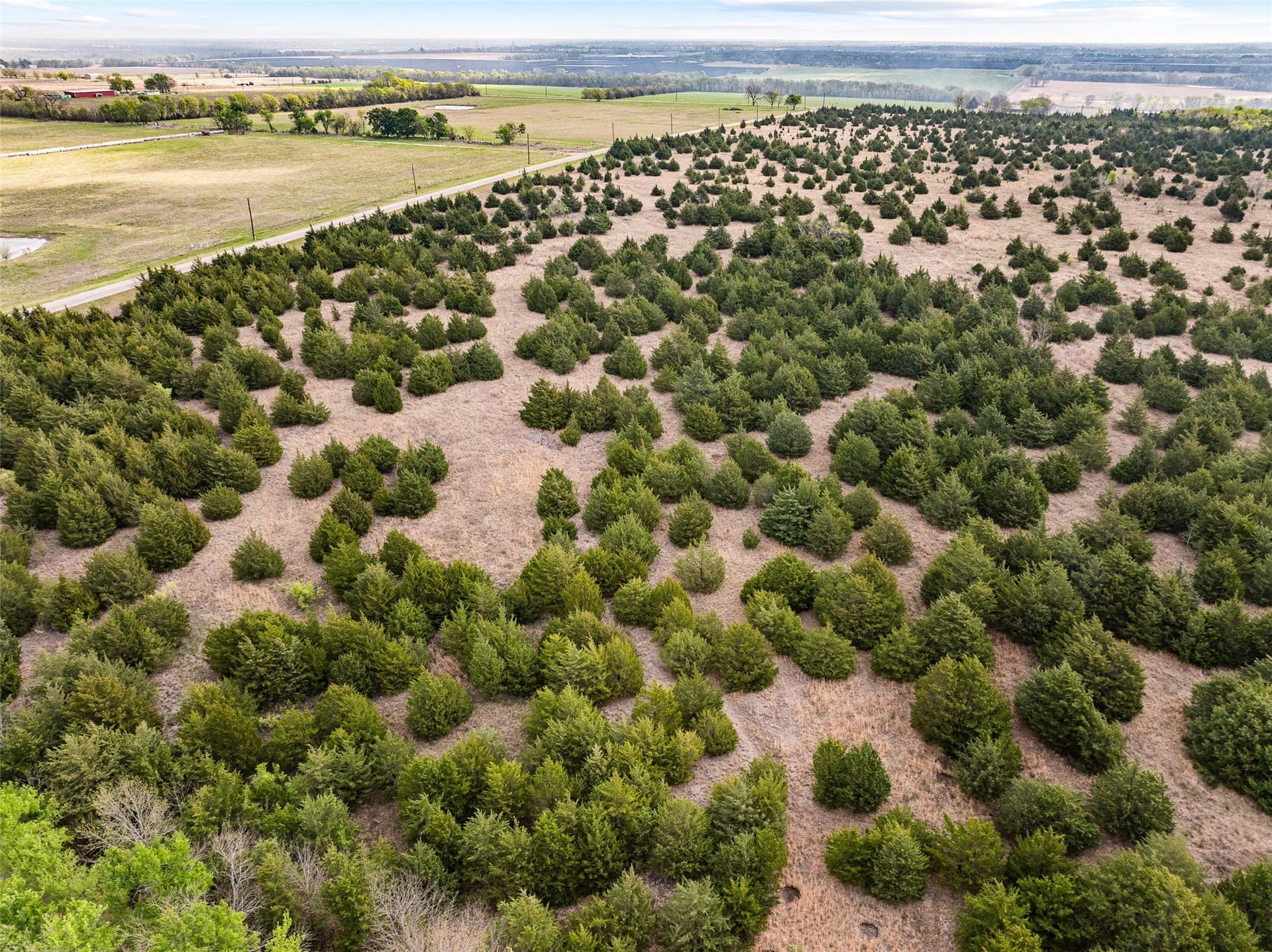 10 acres in Delta County - photo 5