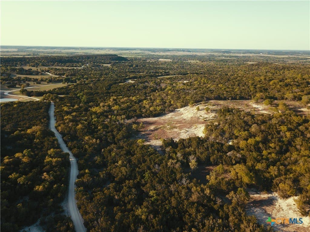 68.76 acres in Coryell County gallery image 4