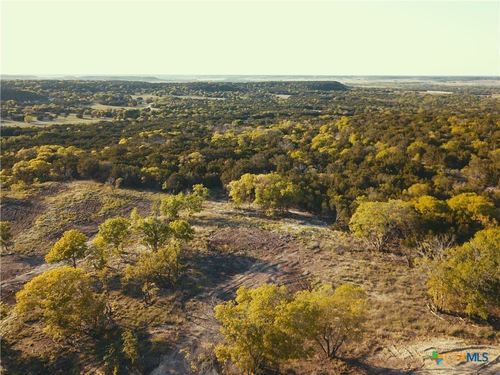 68.76 acres in Coryell County gallery image 2