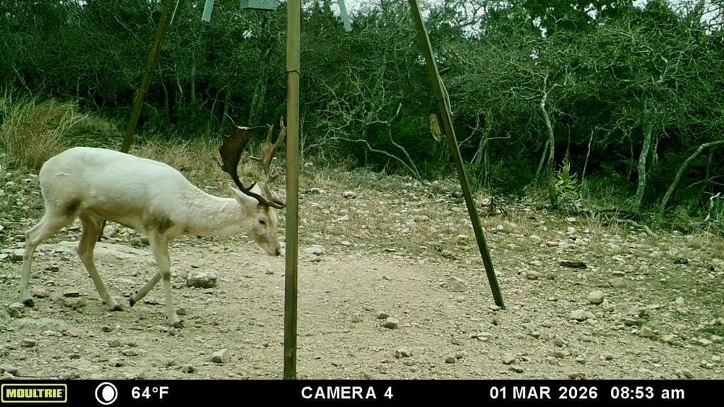 22.45 acres in Kerr County - photo 14