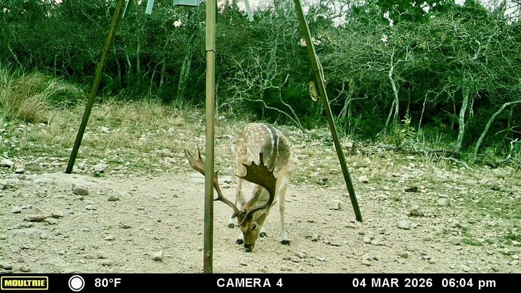 22.45 acres in Kerr County - photo 46
