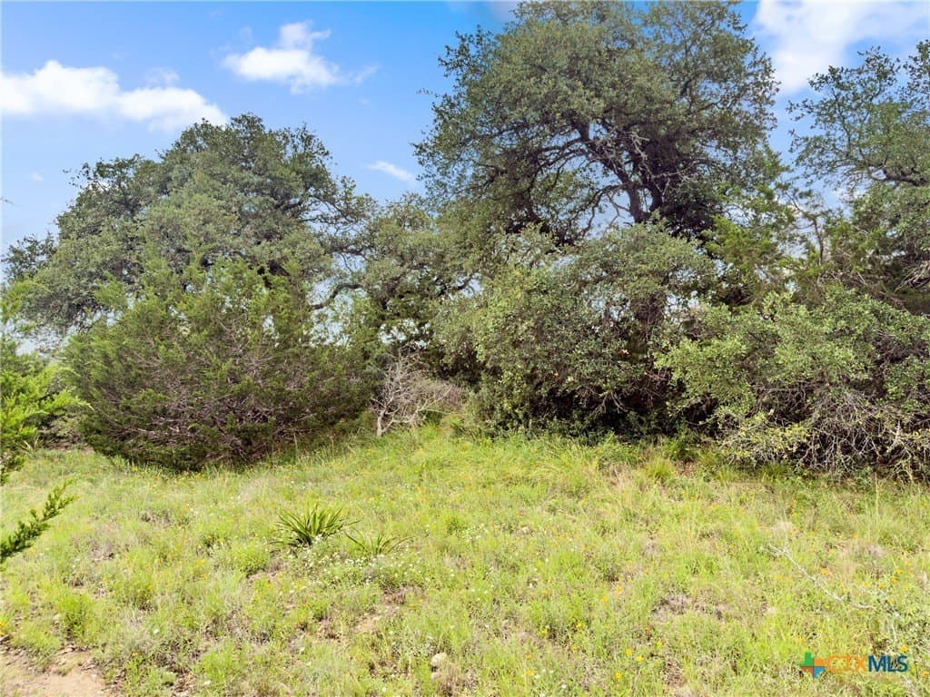 3 acres in Comal County gallery image 3