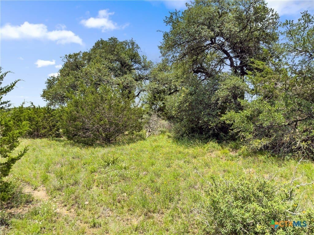 3 acres in Comal County gallery image 2
