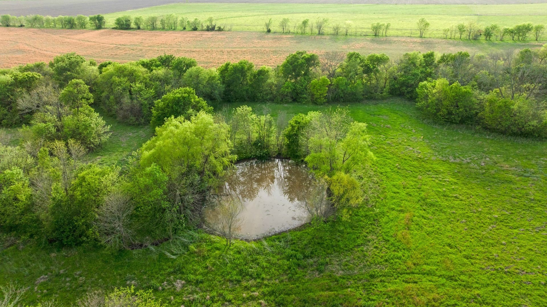 131 acres in Hunt County - photo 11