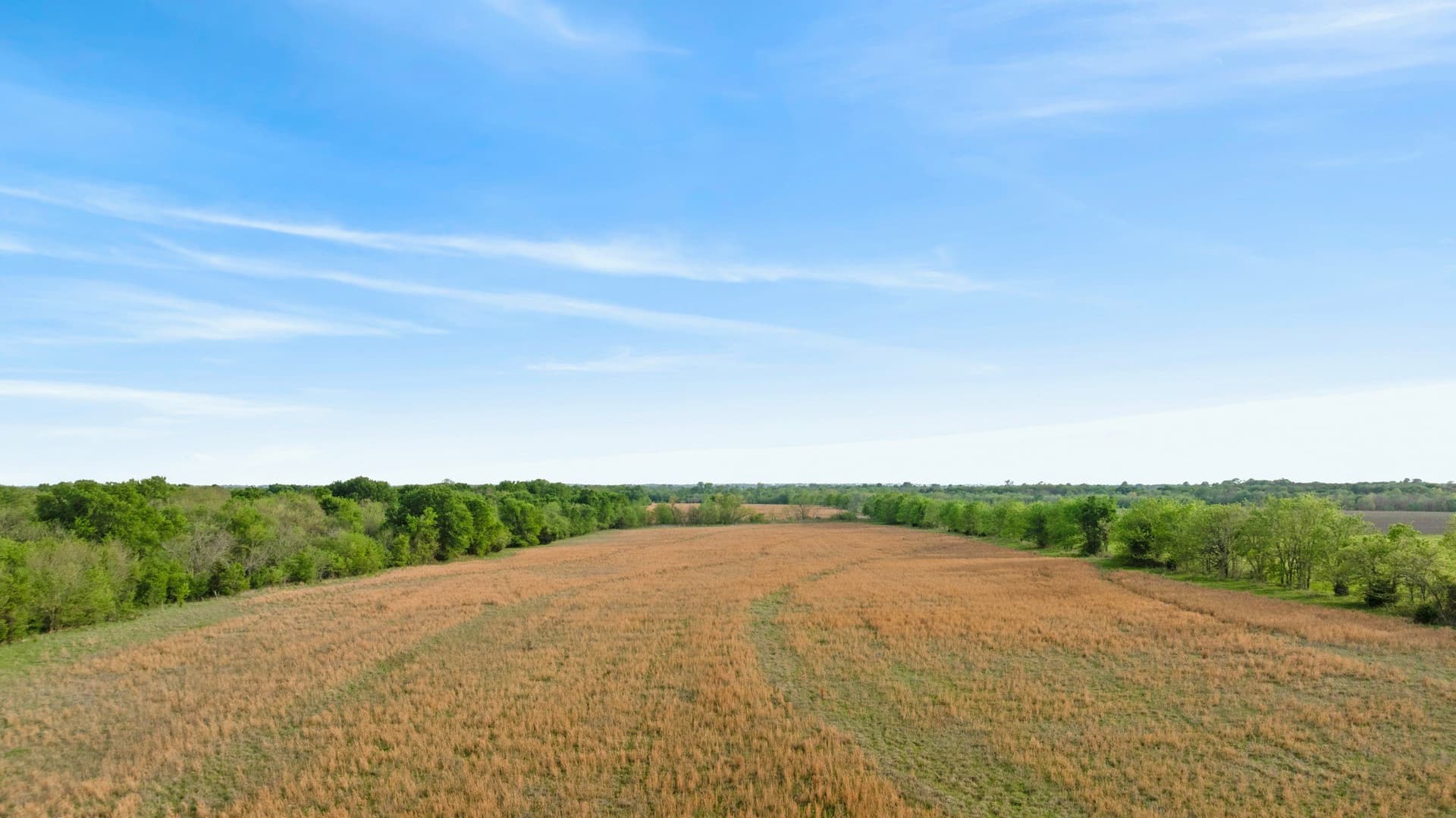 131 acres in Hunt County - photo 9