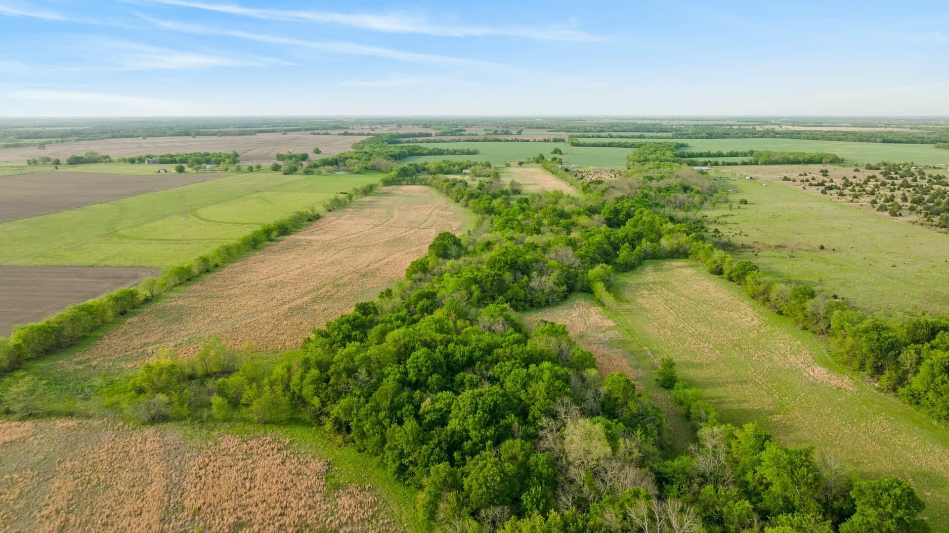 131 acres in Hunt County - photo 13