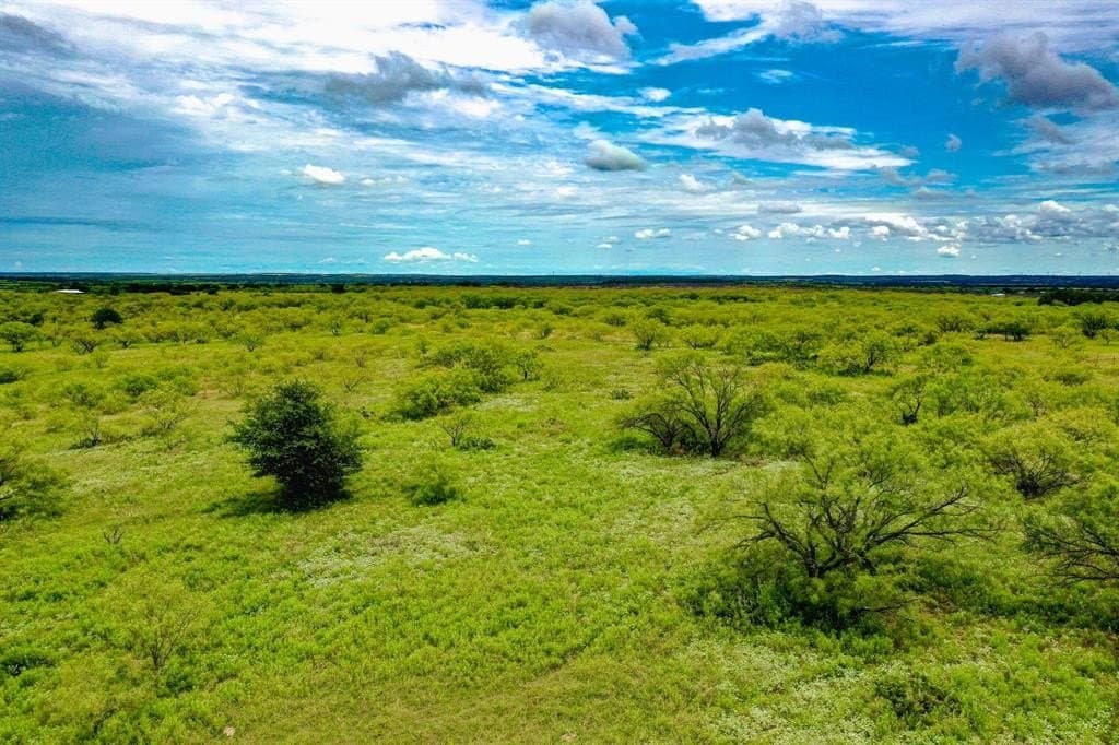 143.07 acres in Jack County gallery image 4