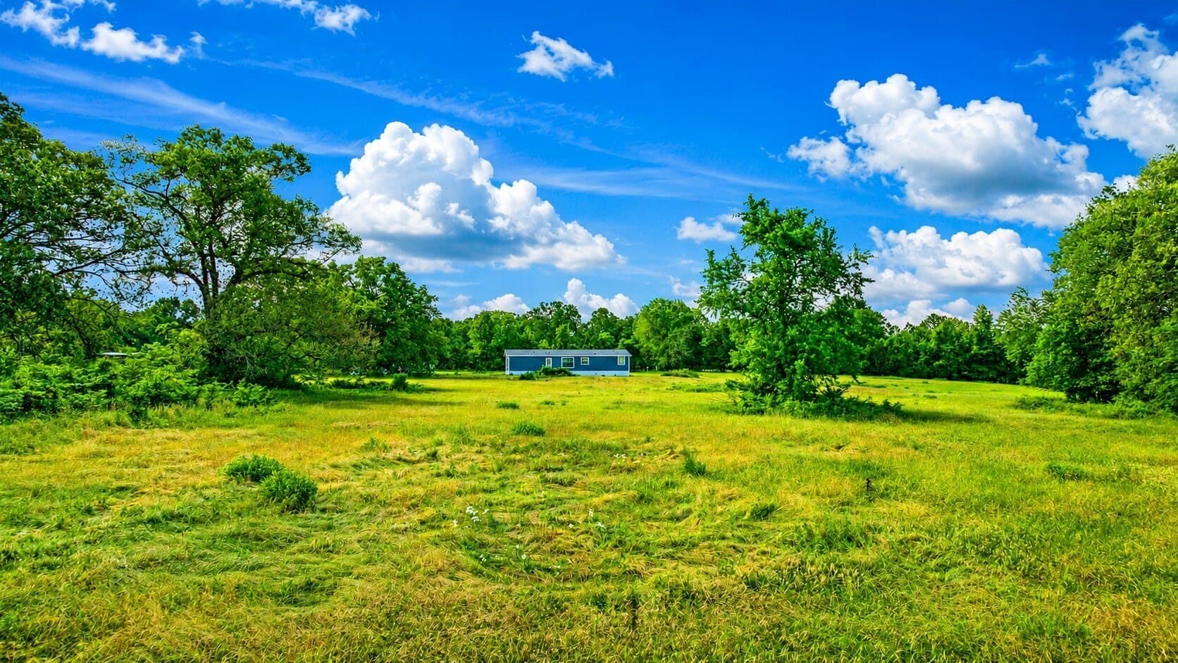 36.35 acres in Red River (TX) County - photo 34