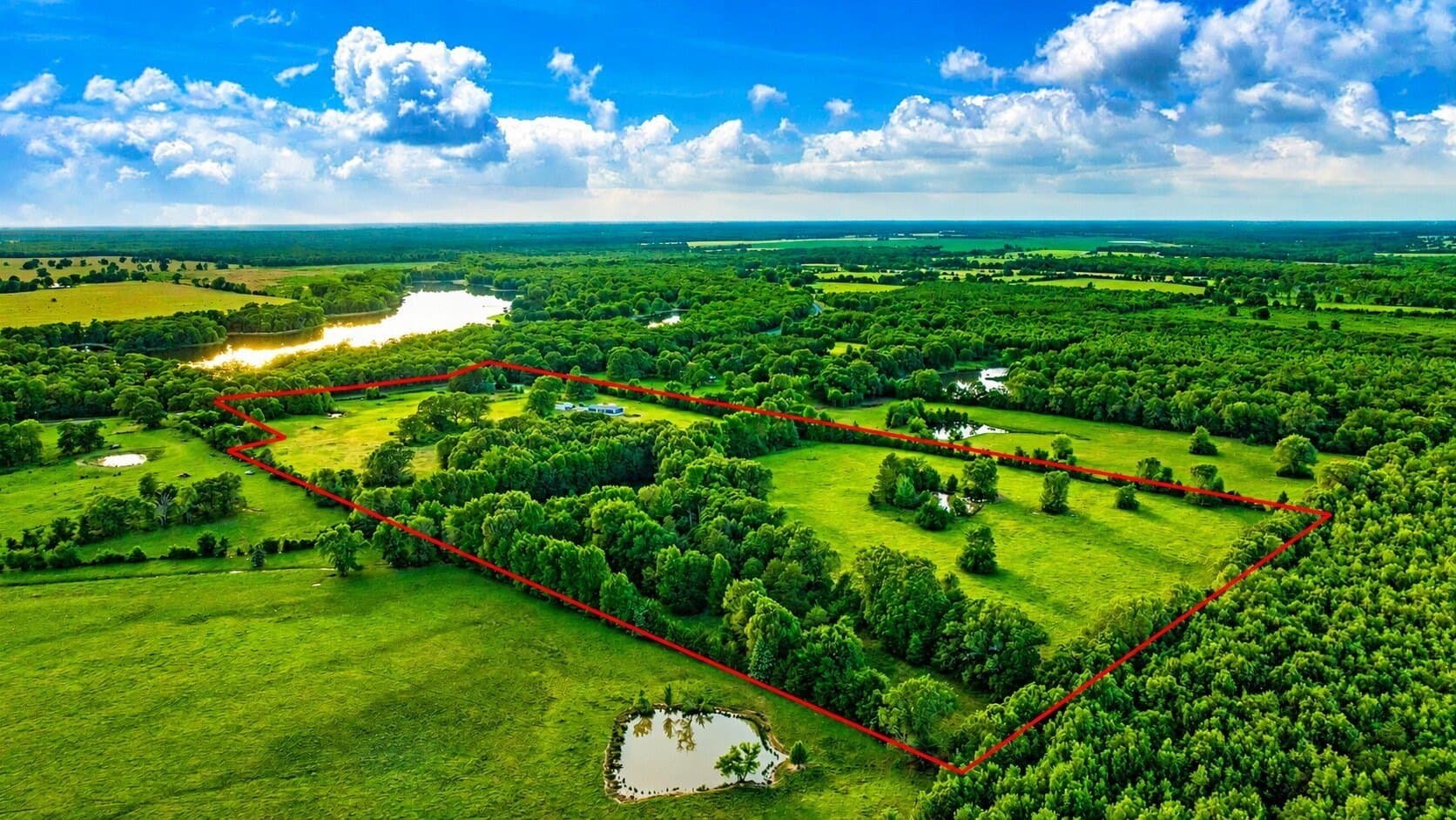 36.35 acres in Red River (TX) County - photo 6