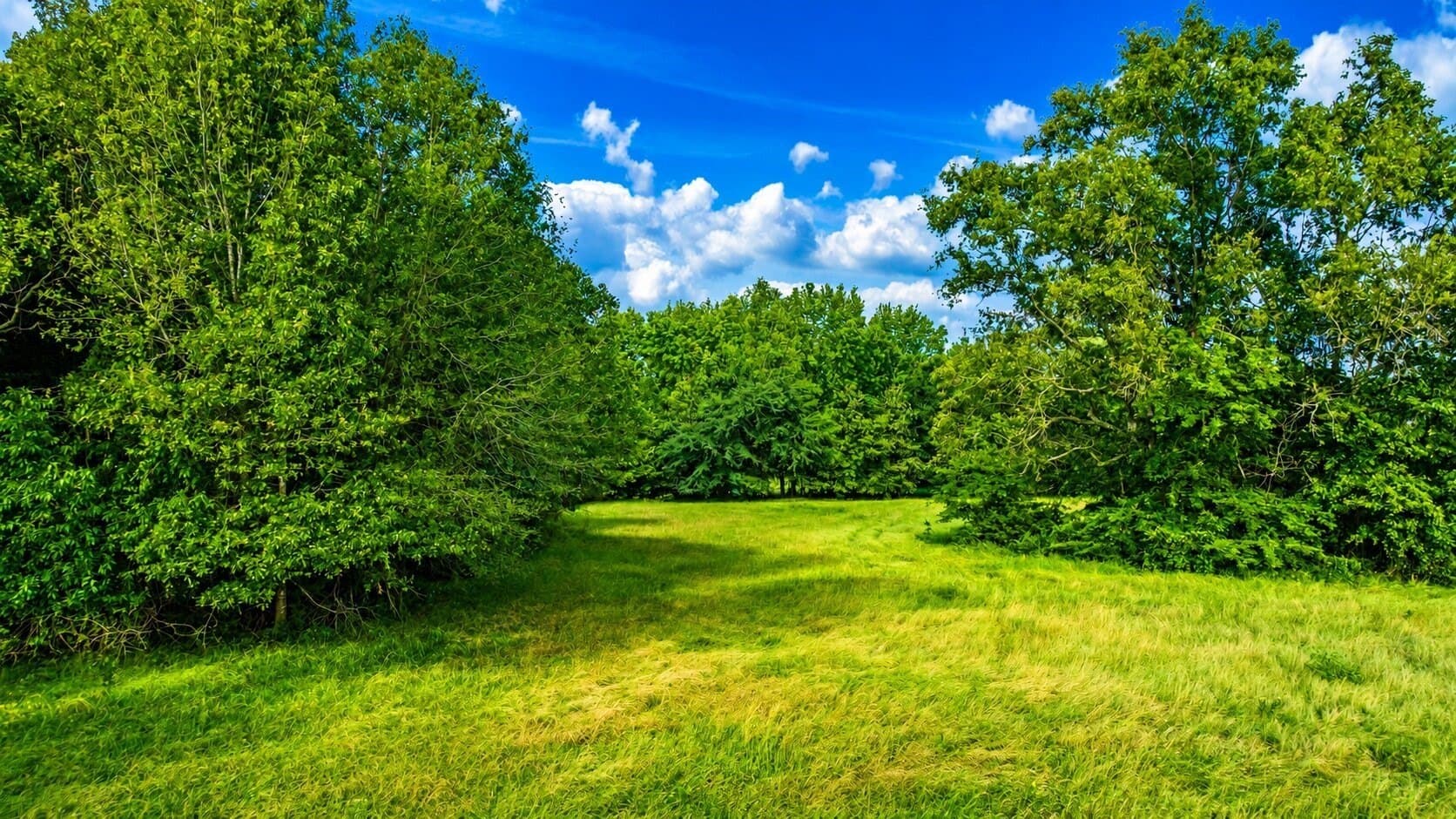 36.35 acres in Red River (TX) County - photo 36