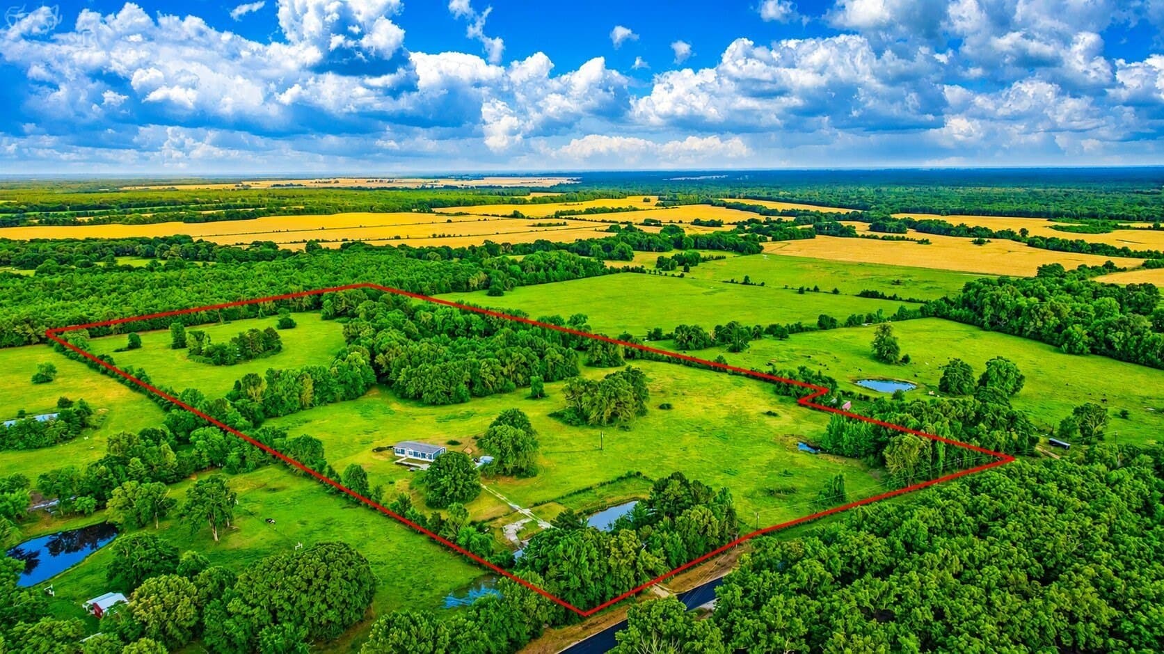 36.35 acres in Red River (TX) County gallery image 4