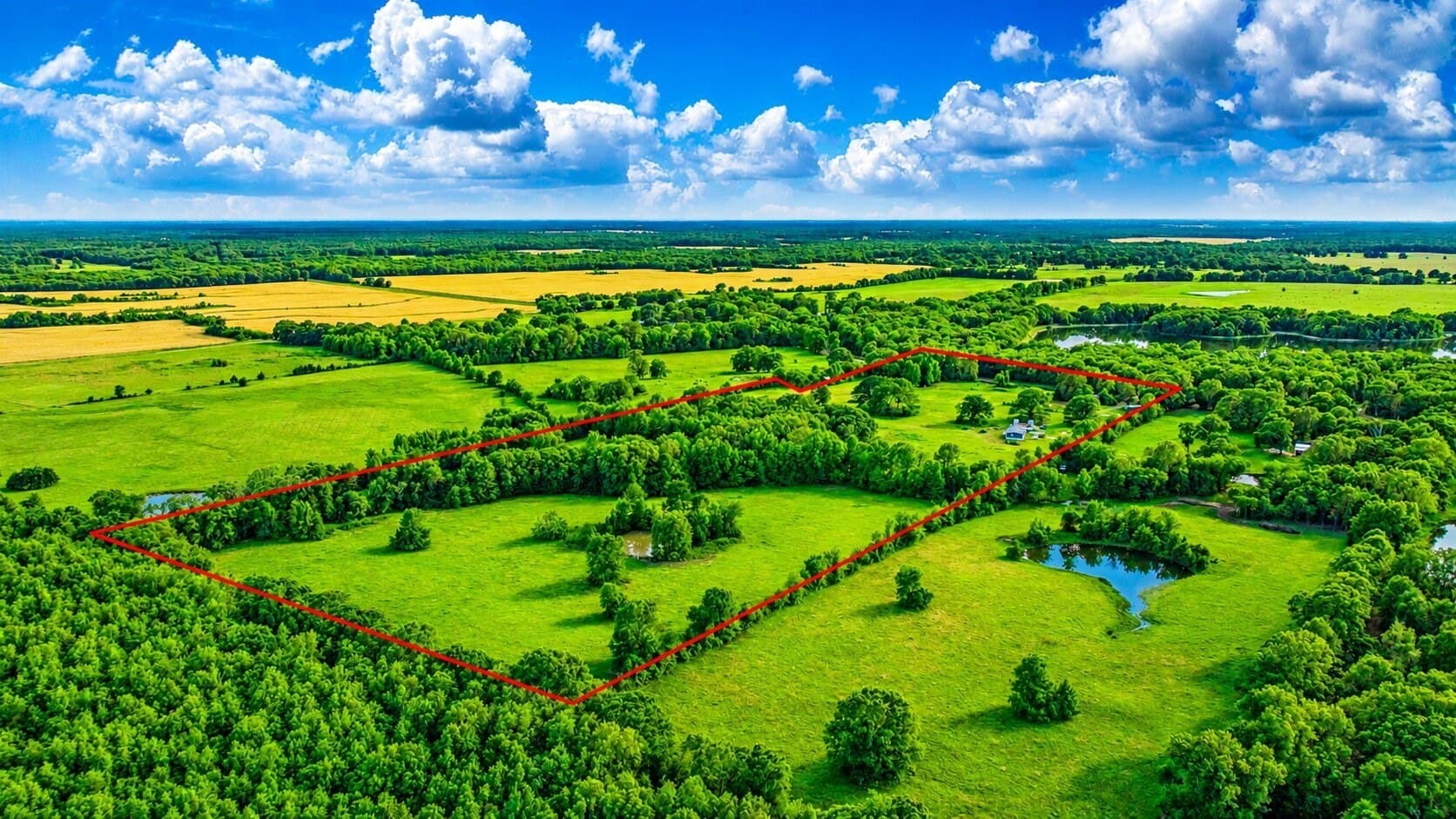 36.35 acres in Red River (TX) County featured view