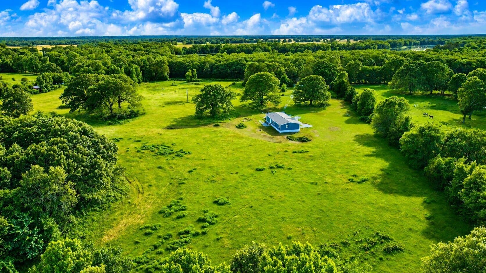 36.35 acres in Red River (TX) County - photo 11