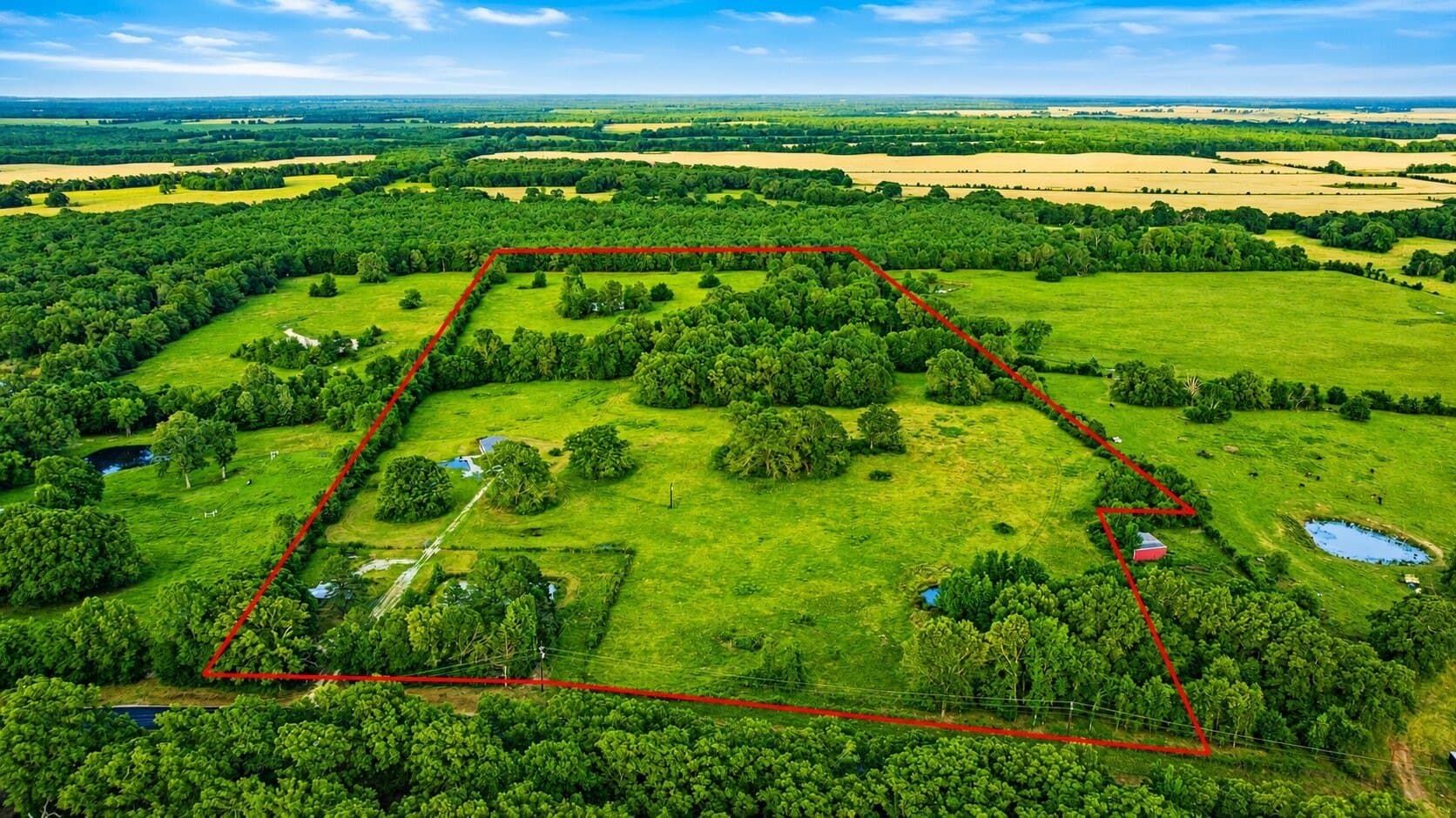 36.35 acres in Red River (TX) County gallery image 3