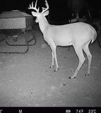 110.4 acres in Cherokee County featured view