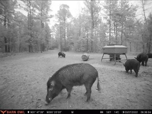 110.4 acres in Cherokee County gallery image 4