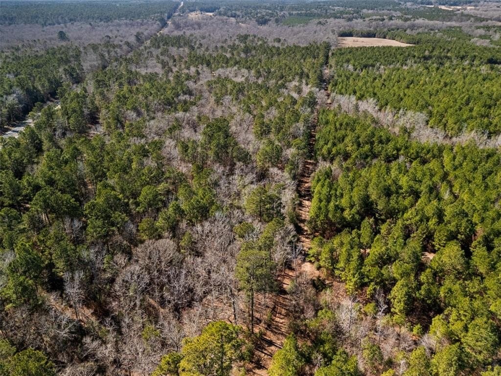 110.4 acres in Cherokee County gallery image 3