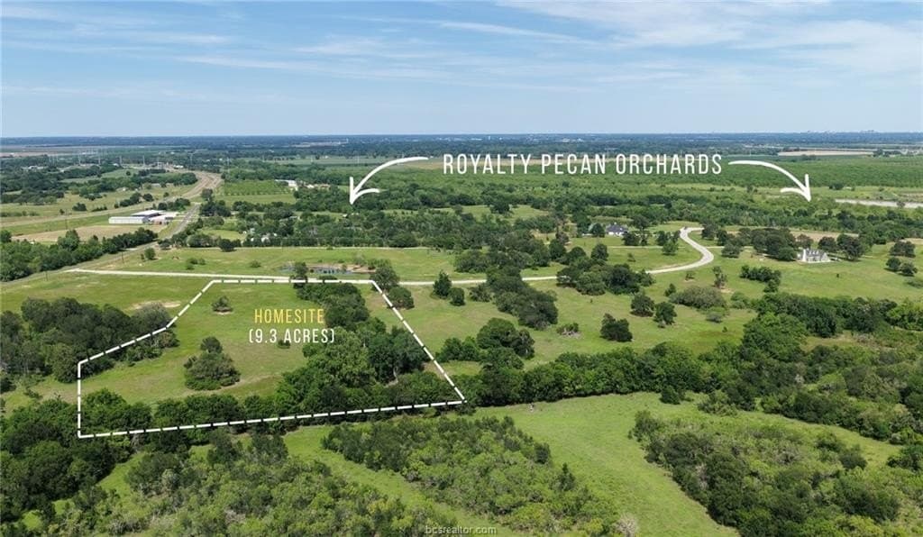 9.3 acres in Burleson County gallery image 3