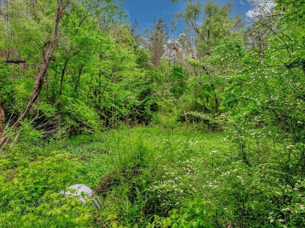56.57 acres in Texas County - photo 24