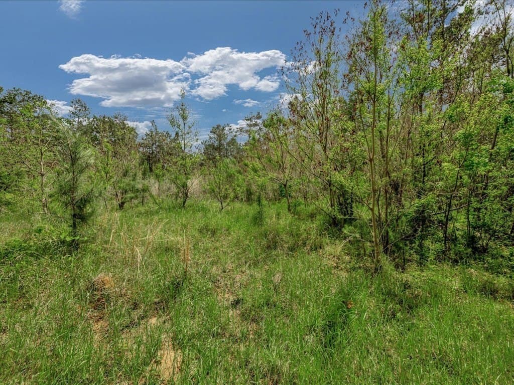 56.57 acres in Texas County - photo 23