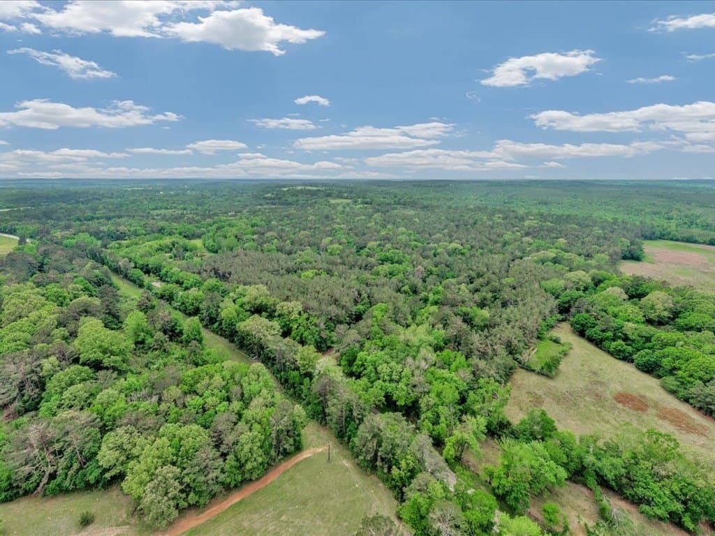 56.57 acres in Texas County - photo 12