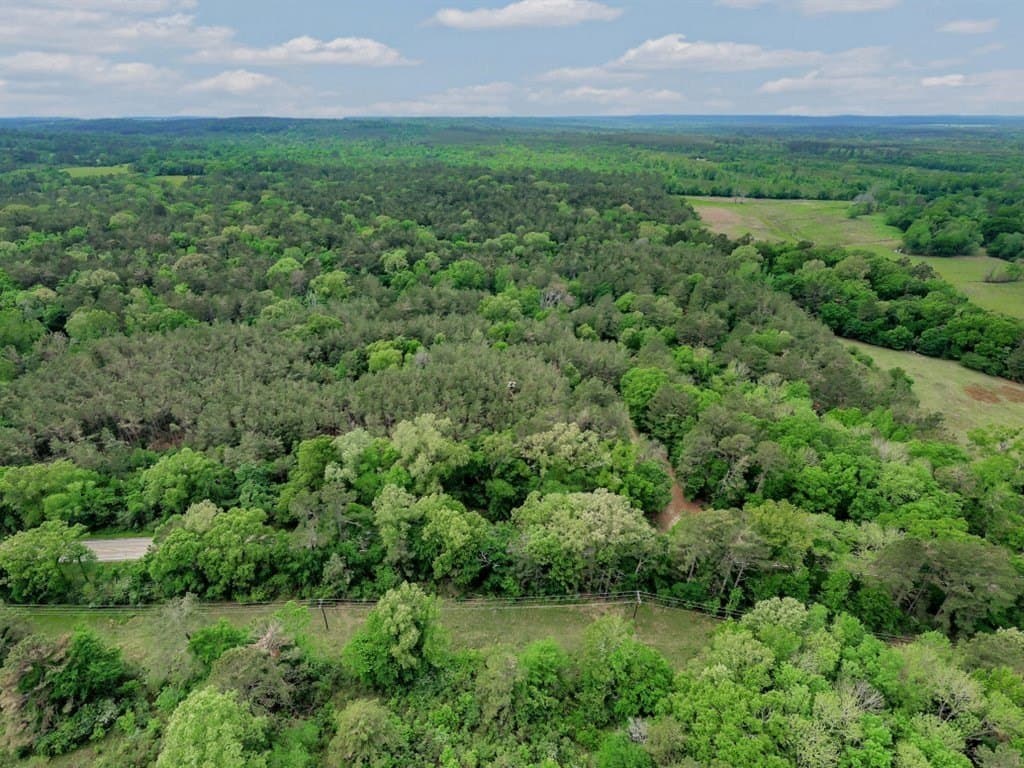 56.57 acres in Texas County - photo 22