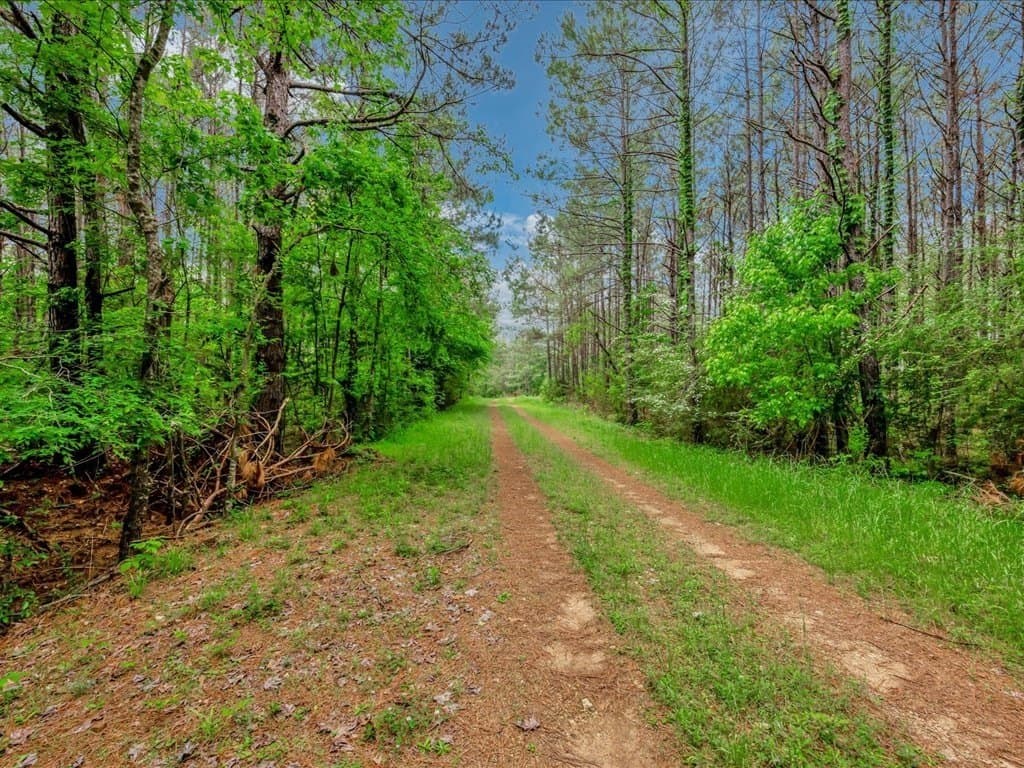 56.57 acres in Texas County - photo 6