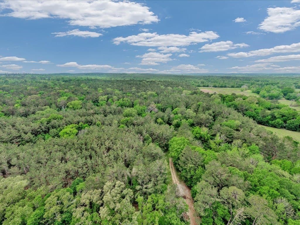56.57 acres in Texas County - photo 14
