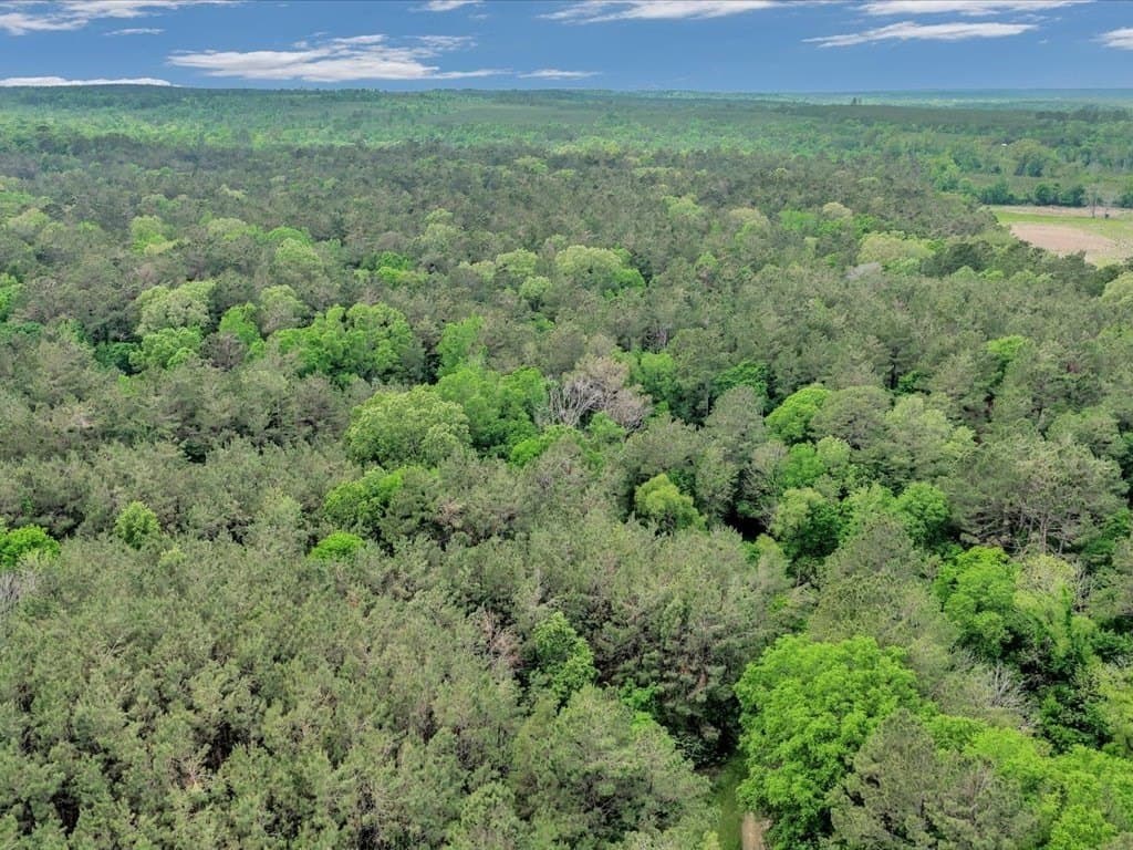 56.57 acres in Texas County - photo 19