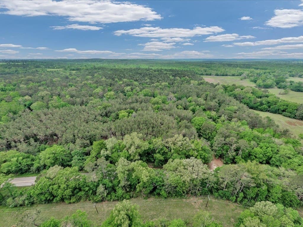 56.57 acres in Texas County - photo 15