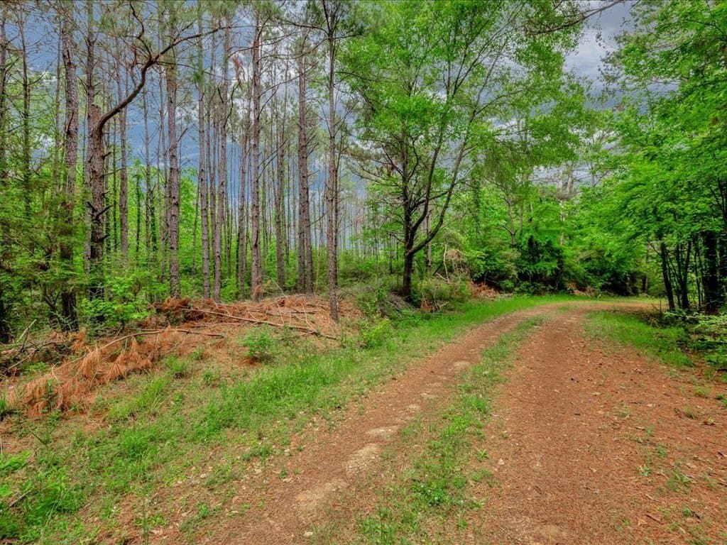 56.57 acres in Texas County - photo 9