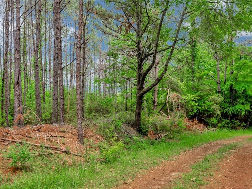 56.57 acres in Texas County - photo 7