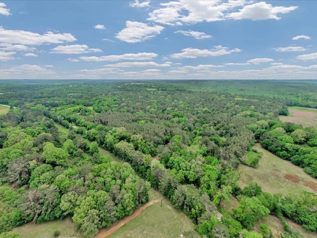 56.57 acres in Texas County - photo 13