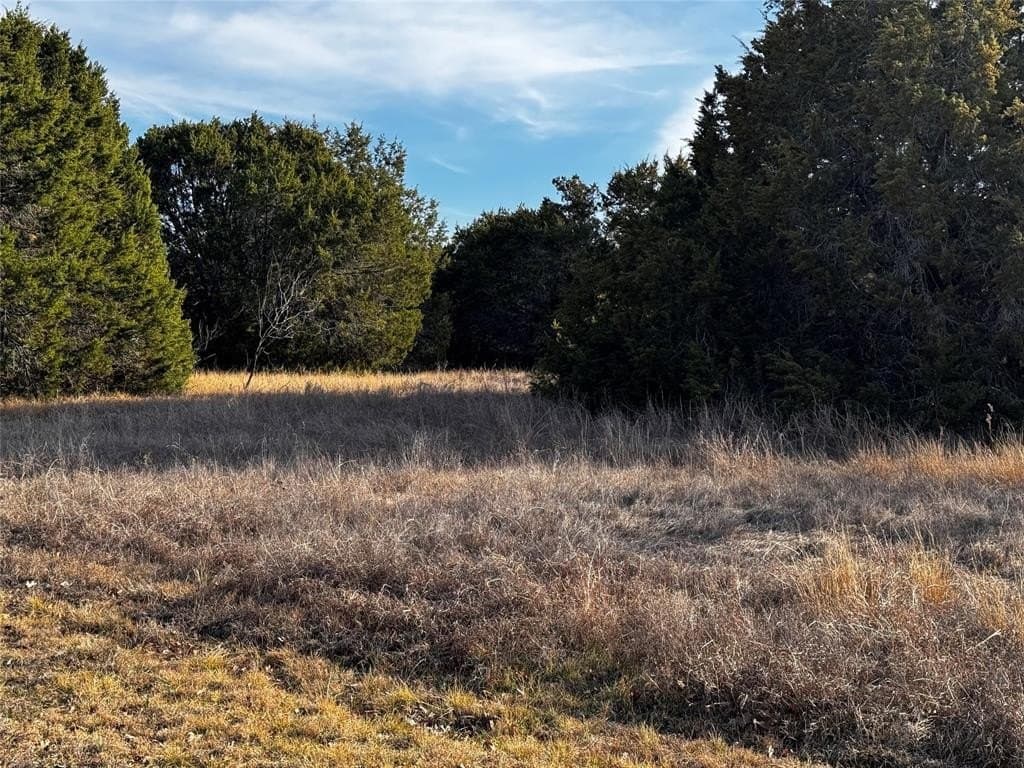 0.28 acres in Hill County gallery image 4