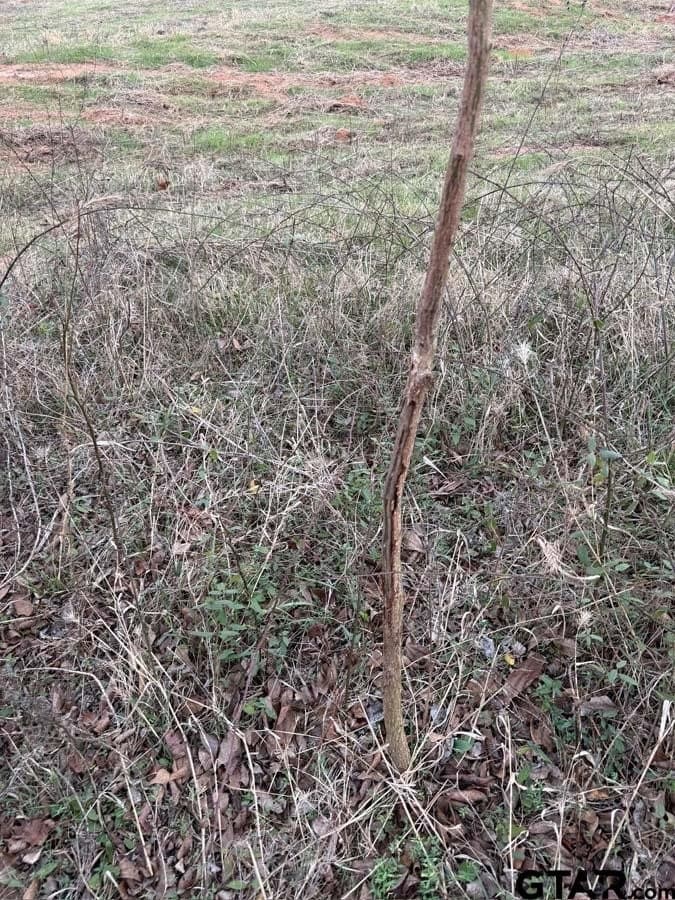 6.4 acres in Smith County - photo 6