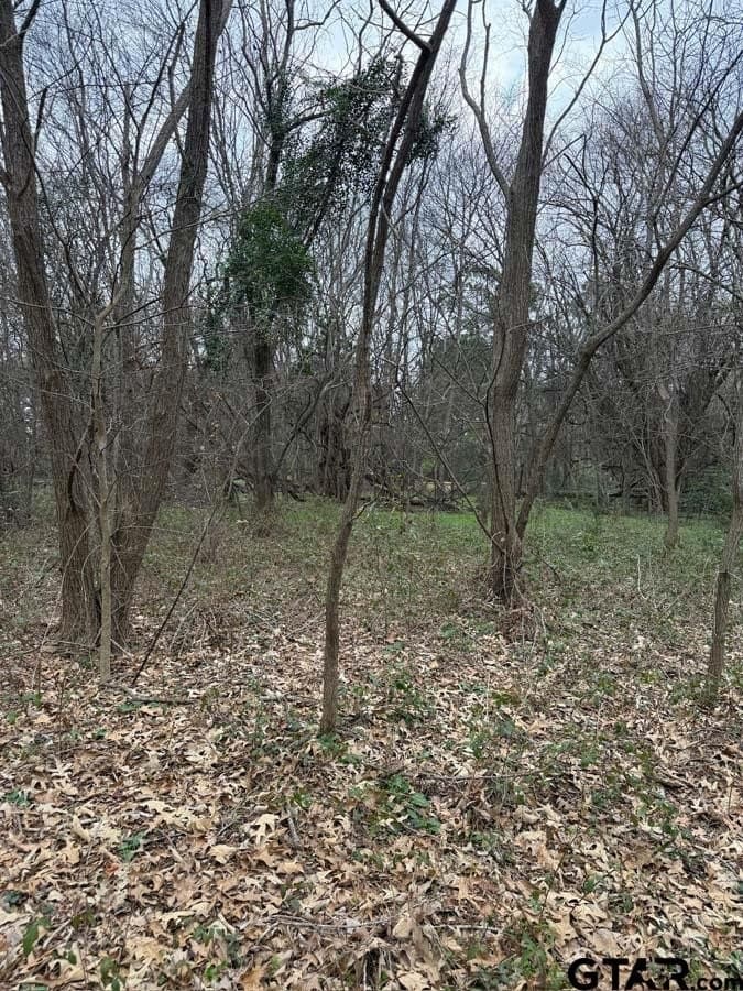 6.4 acres in Smith County - photo 14
