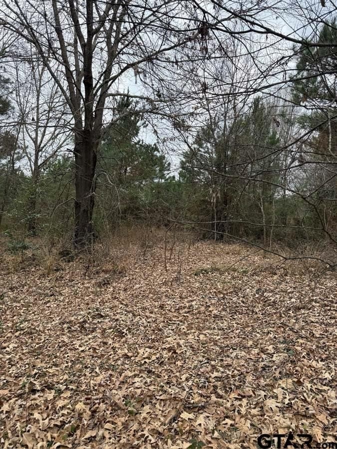 6.4 acres in Smith County - photo 15