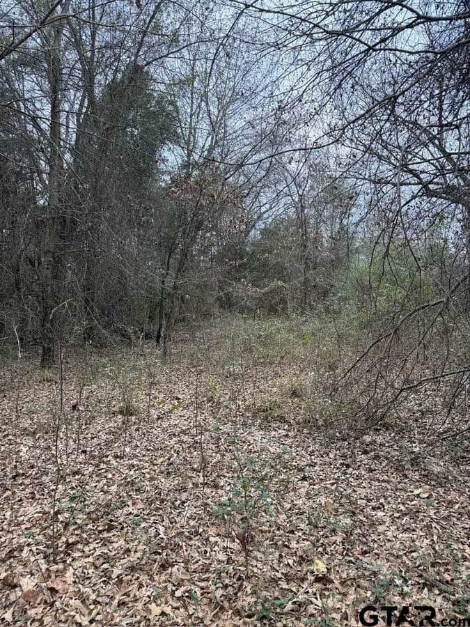 6.4 acres in Smith County - photo 16