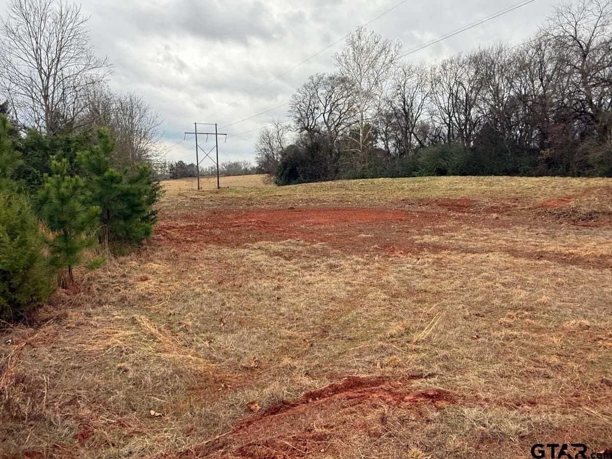 6.4 acres in Smith County - photo 19