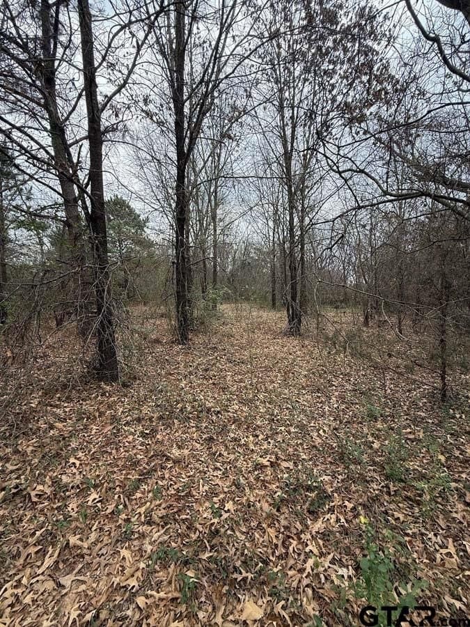 6.4 acres in Smith County - photo 13